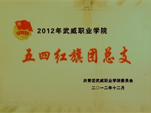 2012年武威職業(yè)學院五四紅旗團總支獎